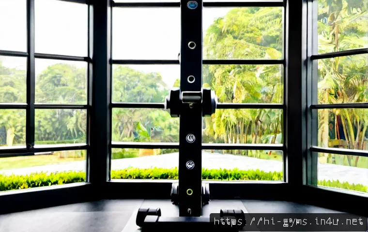 Home 17 프리웨이트용 원판 보관랙 추천 - Photorealistic home gym featuring a sturdy vertical weight plate storage tree neatly loaded with bla...
